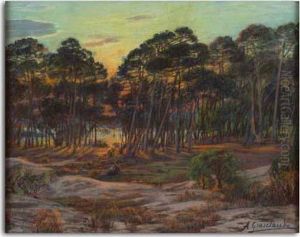 Crepuscule D'ete Sur La Pinede