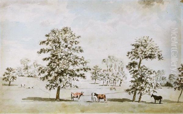 Cattle And Horses Grazing In A Field - view 1