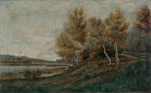 Paysage Lacustre Boise by Peter Alfred Gross