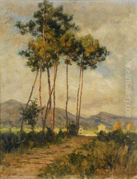 Paesaggio Con Alberi - view 1