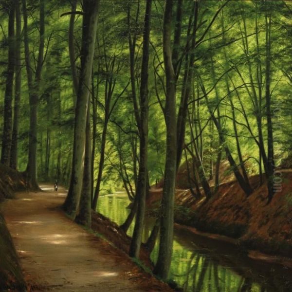 A Beech Forest With A Stream And Walking Persons - view 1