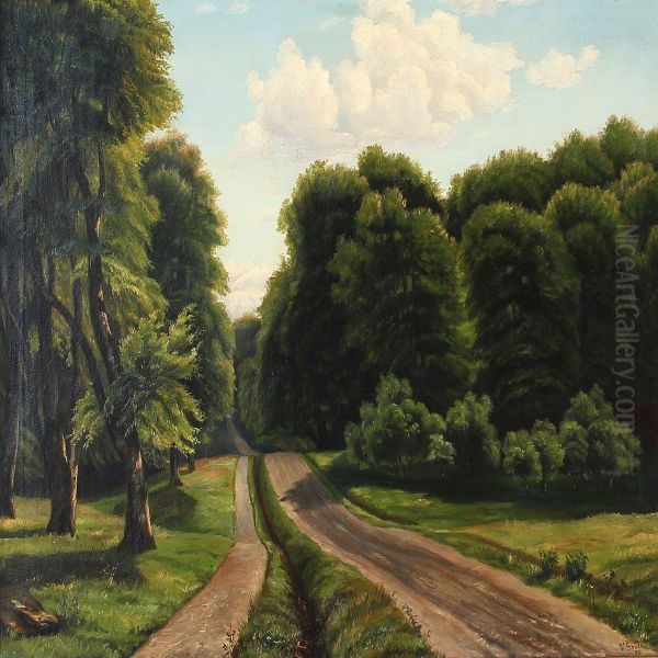 Summer Day At A Forestroad - view 1