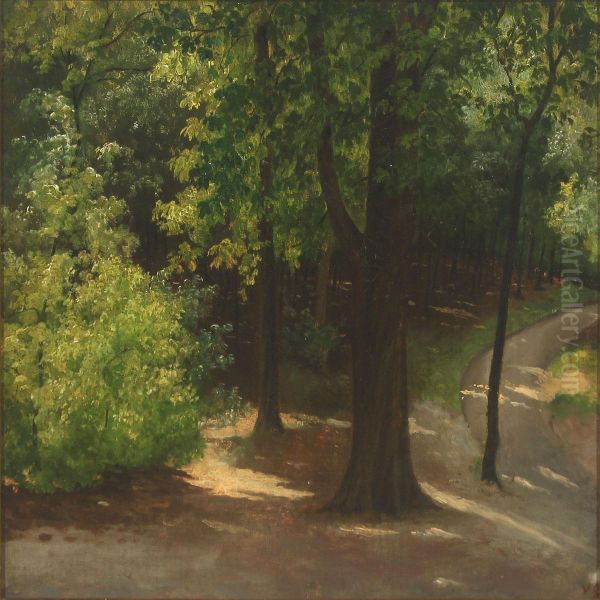 Forest Scenery - view 1