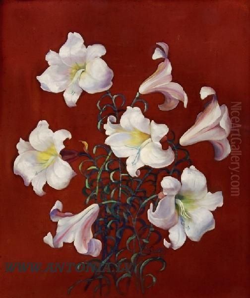 Lilies - view 1