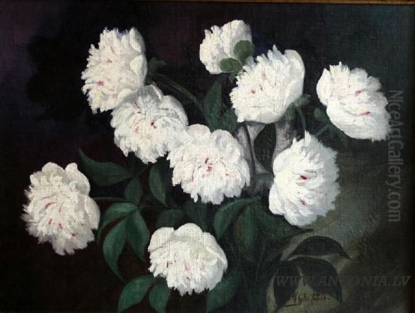 Peony - view 1