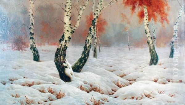 Brzozy Zima - view 1
