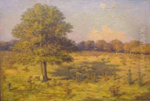 Pastoral Scene With Sheep by Richard Buckner Gruelle