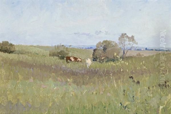 Unploughed Field - view 1