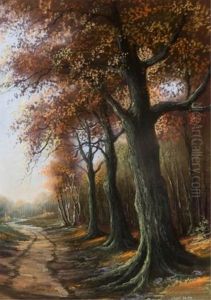 Dirt Path With Trees In Fall Setting