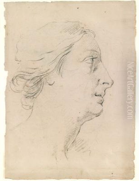 A Portrait Study Of A Woman In Profile - view 1