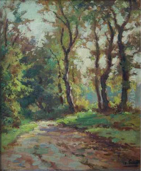 Allee De Sous-bois. - view 1