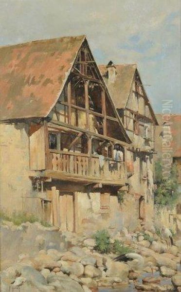 Cigognes En Alsace - view 1