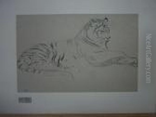 Le Tigre. - view 1