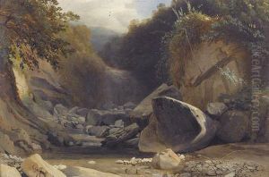 Felsige Wildbachpartie Mit Wasserfall