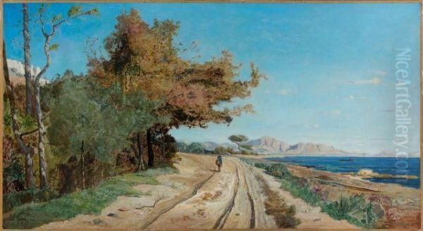Route Au Bord De La Mediterrannee - view 1