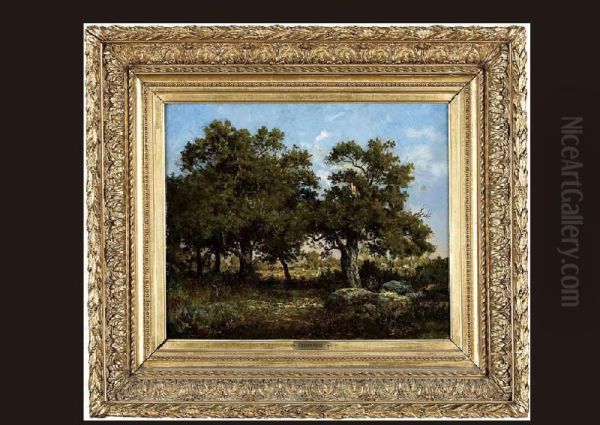 Landscape - view 1
