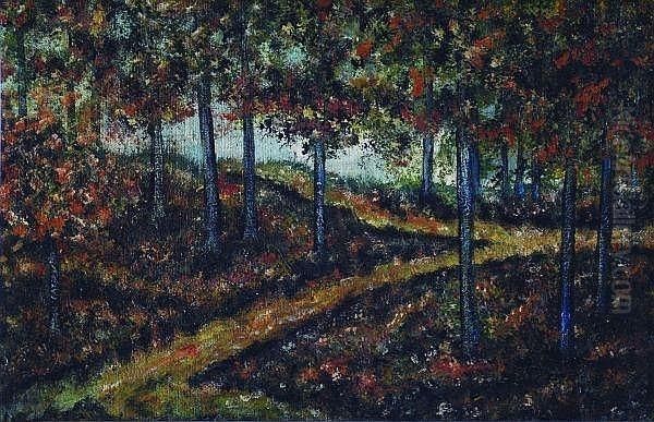 Sendero - view 1