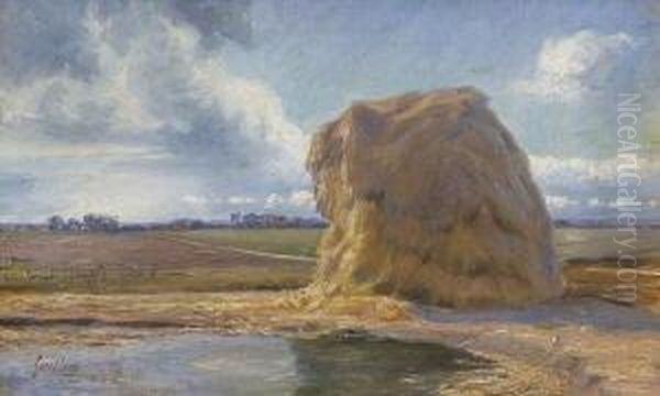 Sommerlandschaft - view 1