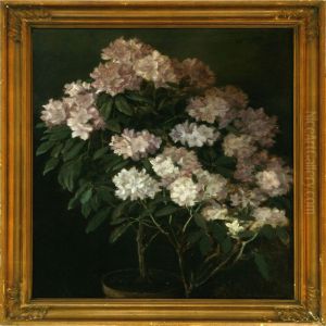 White Rhododendron by Laura Buschard Guldbrandsen