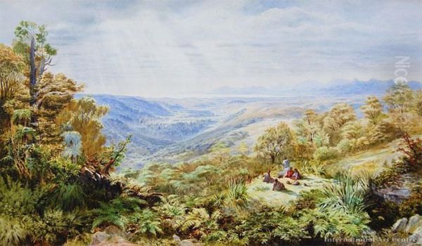 Motupiko Valley, Nelson - view 1