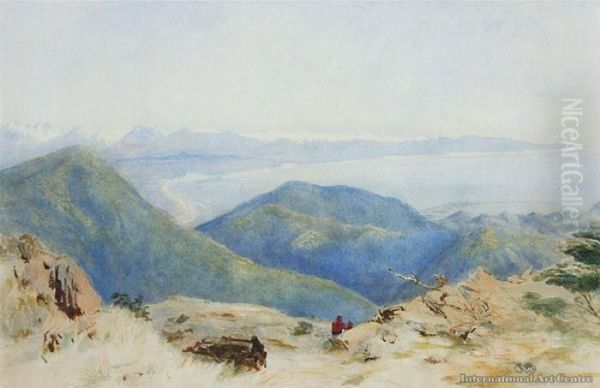 View Of Nelson From The Hills - view 1