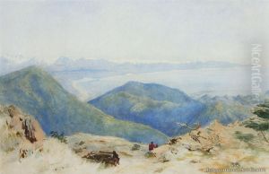 View Of Nelson From The Hills by John Gully