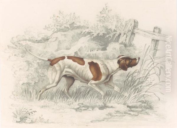 Pointer In A Landscape - view 1