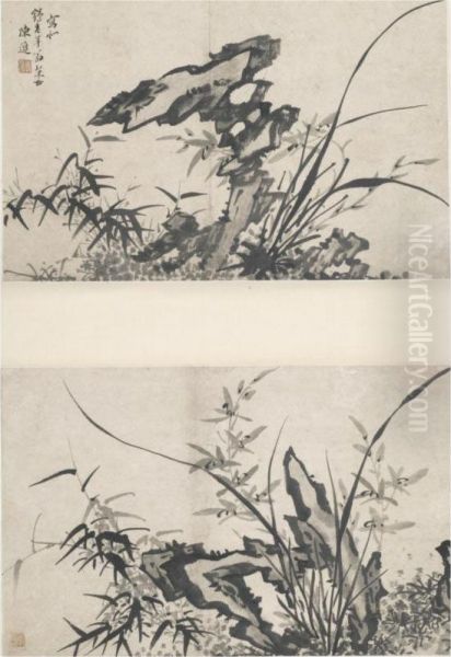 Flowers And Rocks - view 1