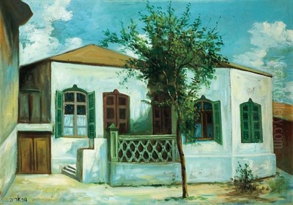 Rabikov House - view 1