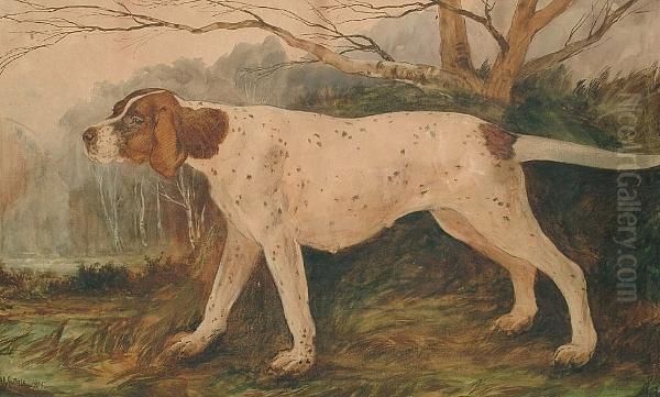 An English Pointer Hunting In A Wooded Landscape - view 1