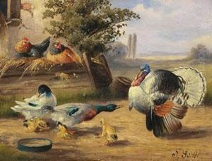 /tgeflugelhof Mit Enten Und Truthahn// by Johann Guttl
