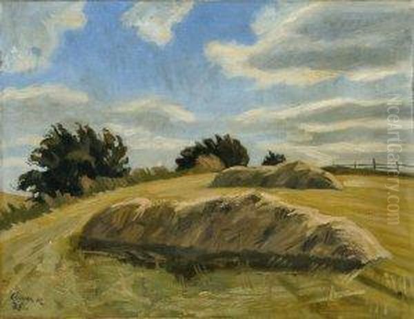 Letne Pole - view 1