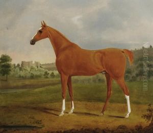 Chestnut Hunter In The Grounds Of A Castle
