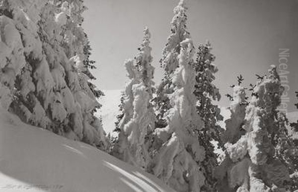 Winterabend - view 1