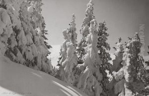 Winterabend by Emanuel Gyger