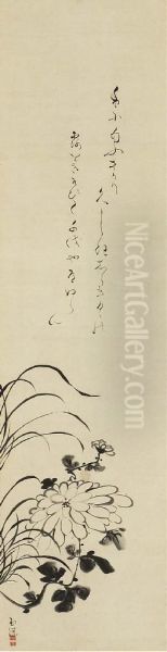 Chrysanthemum - view 1