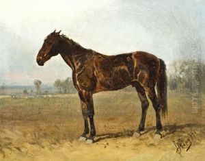 Teliver by Hans Johann Haag