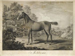 Portrait Of A Stallion, 'melilcoma' by Hans Johann Haag