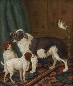A Longhaired Black-and-white Dog With Bushy Tail And Two Brown Spotted White Puppies In An Interior