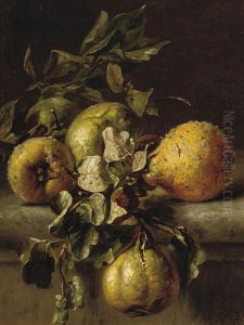 A Branch Of Quinces On A Ledge