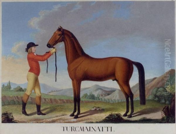 Turcmainatti And Nischry - view 1