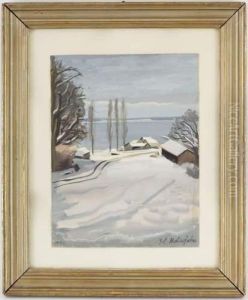 Bord Du Leman En Hiver