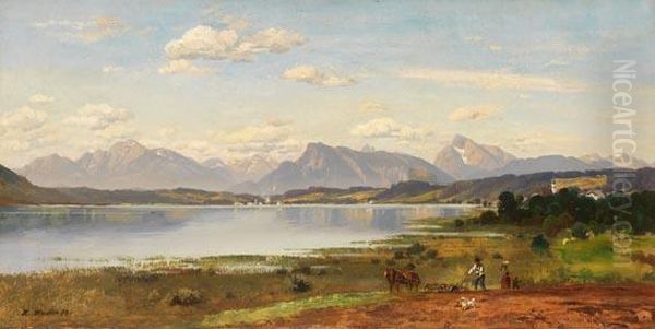 Seenlandschaft Im Salzburger Land - view 1