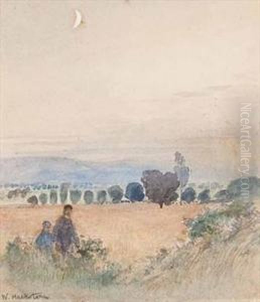 A View Of The Field - view 1