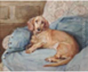 Anonimo by Nellie Hadden