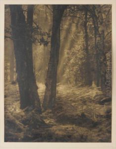 Untitled (trees) And Untitled (houses). Two Studies, 1920s by William H. Hadley