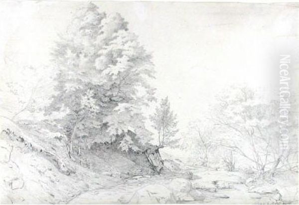 Gebirgsbach. - view 1