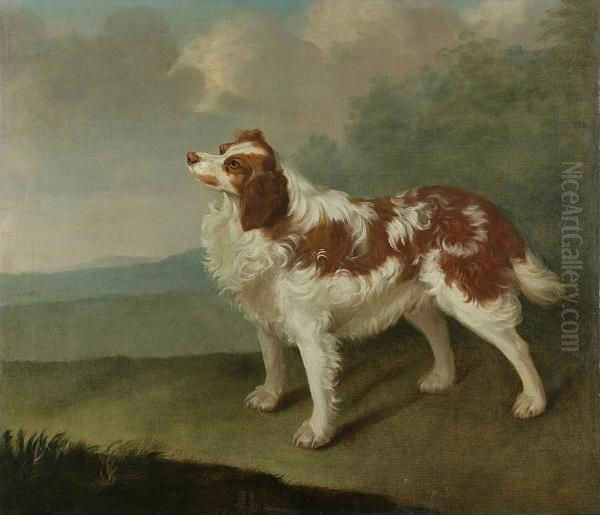 Spaniel In A Landscape - view 1