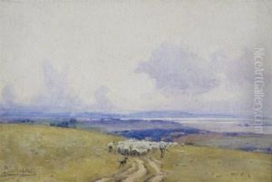 In The Mendips In The Mendips