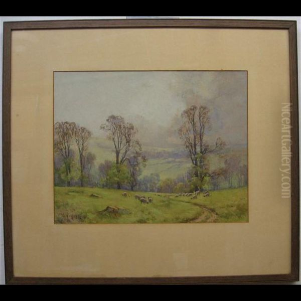 Grazing Sheep - view 1